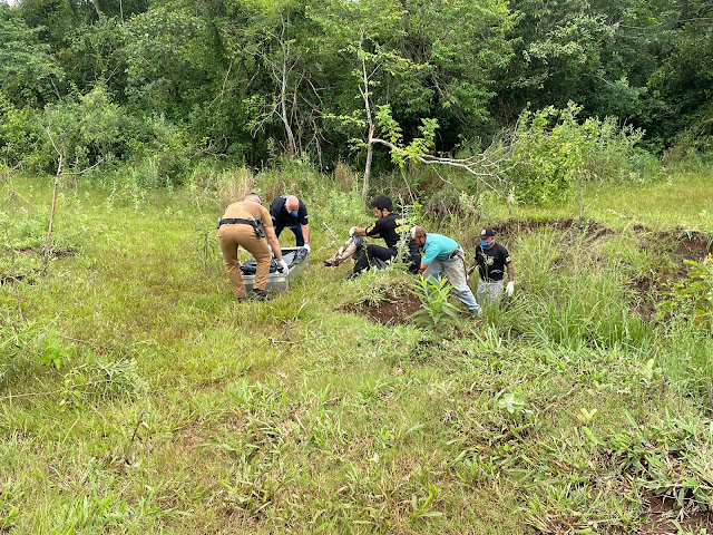 Corpo de mulher e econtrado em avancado estado de decomposicao