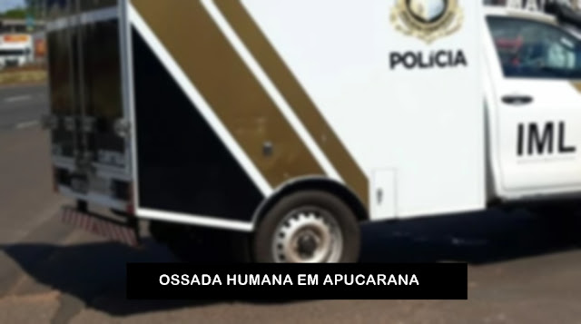 Ossada humana encontrada na BR 376 em Apucarana