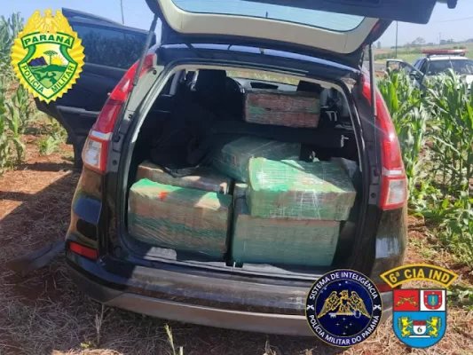 450 quilos de drogas apreendidos em Jardim alegre