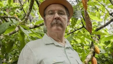 Antonio Calloni como Belarmino em Renascer - Foto: Globo/Fábio Rocha