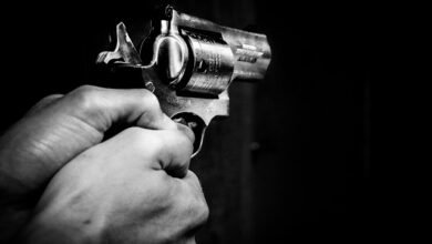 gun 1678989 640 1