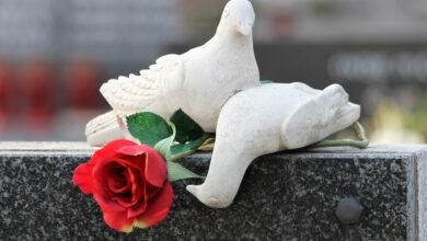 white doves 3754910 1280