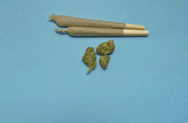 marijuana 2248066 640