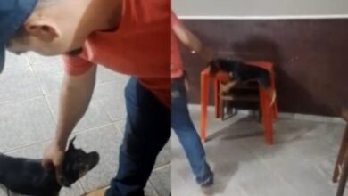 Servidor usa cachorro como arma para agredir homem