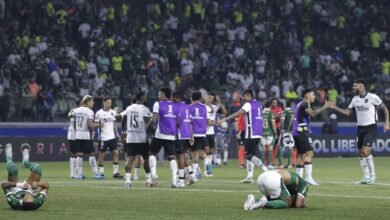 Palmeiras 2 x 2 Botafogo: veja melhores momentos, notas e números do jogo 9 Palmeiras 2 x 2 Botafogo: veja melhores momentos, notas e números do jogo