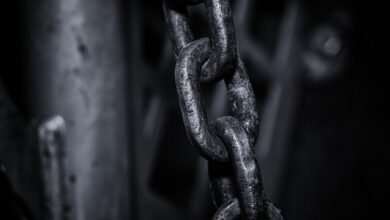 Homem é Vitima de Tortura e Agressão em Apucarana: Detalhes do Caso