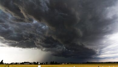 Alerta de tempestade coloca 286 cidades do Paraná em estado de atenção