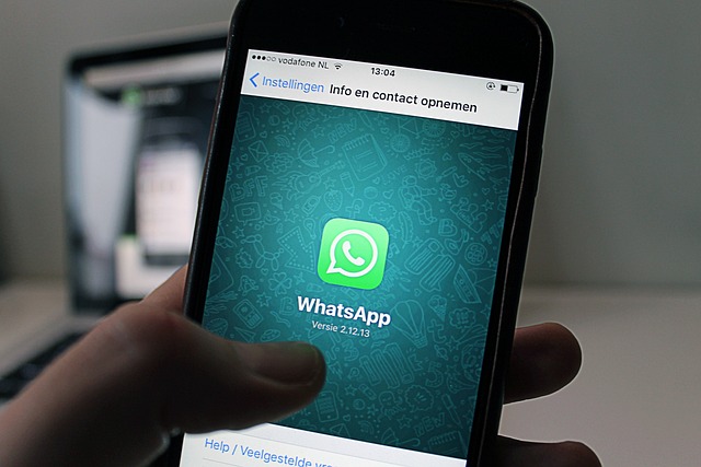 Número de WhatsApp da Guarda Civil de Apucarana é clonado e usado em golpe