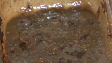 Jovem é preso após oferecer “brisadeiro” a colegas de trabalho e deixar eles chapados