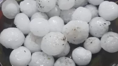 Chuva de Granizo Assusta Moradores do Paraná e Causa Estragos