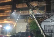 Galhos e árvores caídas em via pública