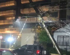 Galhos e árvores caídas em via pública