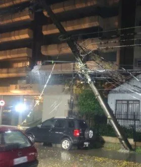 Galhos e árvores caídas em via pública