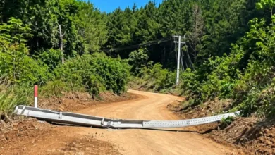 Equipes de manutenção da rede elétrica em atendimento.