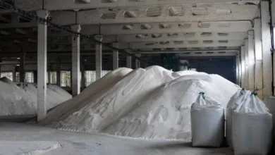 Mercado de fertilizantes enfrenta forte pressão no início da safra 2 Plantação de grãos no Brasil