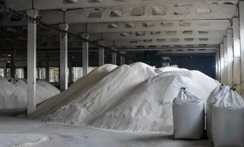 Mercado de fertilizantes enfrenta forte pressão no início da safra 1 Plantação de grãos no Brasil