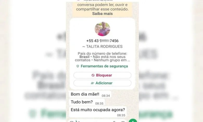 Tela de celular mostrando tentativa de golpe com perfil falso
