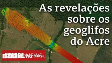 Vista aérea de área de floresta na Amazônia