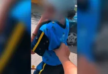 Motoboy leva 40 picadas ao salvar criança de enxame de abelhas e viraliza 6 Estudante e motoboy durante resgate de enxame de abelhas em Minas Gerais