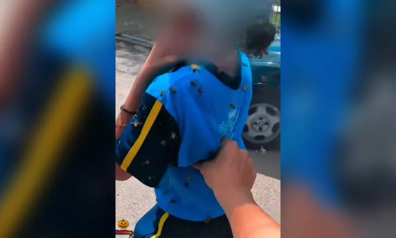 Motoboy leva 40 picadas ao salvar criança de enxame de abelhas e viraliza 1 Estudante e motoboy durante resgate de enxame de abelhas em Minas Gerais