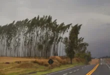 Tempestades severas no Paraná