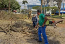 Equipes da Prefeitura de Apucarana trabalham na limpeza e atendimento emergencial após temporal