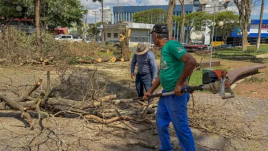 Equipes da Prefeitura de Apucarana trabalham na limpeza e atendimento emergencial após temporal