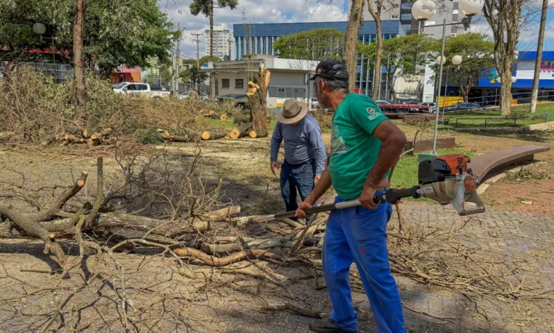 Equipes da Prefeitura de Apucarana trabalham na limpeza e atendimento emergencial após temporal