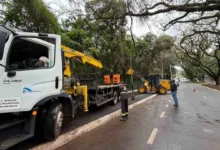 Alerta da Defesa Civil sobre riscos de temporais em Maringá