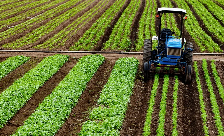 Plantação verde representando o agronegócio brasileiro