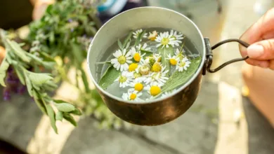 Chá de camomila: veja os benefícios, como preparar e quando consumir 2 Xícara de chá de camomila com flores secas