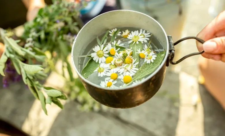 Xícara de chá de camomila com flores secas