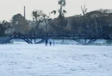 Paisagem de inverno com frio intenso em Santa Catarina
