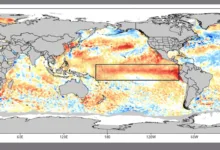 Probabilidade de El Niño muito forte passa de 90%, aponta nova projeção 6 Ilustração conceitual representando o fenômeno climático