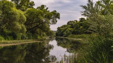 Rio onde ocorreu o caso em Presidente Prudente