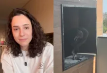 Urubu fez ninho em churrasqueira de apartamento no Paraná