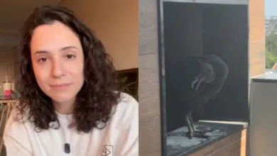 Urubu fez ninho em churrasqueira de apartamento no Paraná