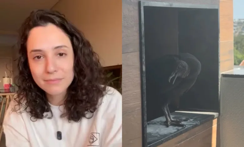 Urubu fez ninho em churrasqueira de apartamento no Paraná