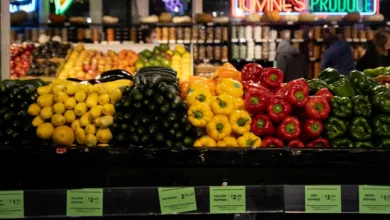 Zona do Euro: PPI tem alta de 1,6% em julho ante junho, segundo Eurostat 2 Edifícios comerciais na Europa representando a economia da zona do euro