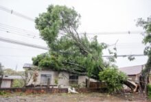 Moradores de Apucarana afetados por temporal