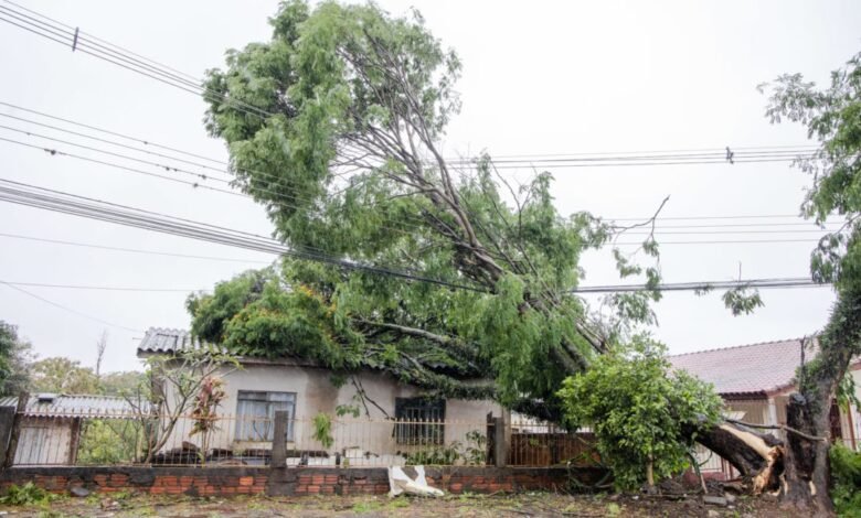 Governo federal publica portaria que permite saque do FGTS pelas famílias atingidas pelo temporal em Apucarana 1 Moradores de Apucarana afetados por temporal