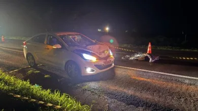 Rodovia BR-376 onde ocorreu o atropelamento