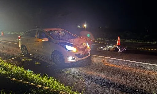 Rodovia BR-376 onde ocorreu o atropelamento