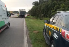 Motorista de caminhão morre após acidente na BR-116 em Quatro Barras 2 Viatura da Polícia Rodoviária Federal em rodovia
