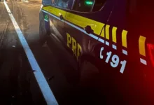 Viaturas de segurança em rodovia