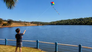 Parque Ecológico da Raposa em Apucarana