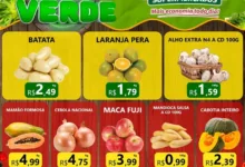 Participantes no evento Terça Verde