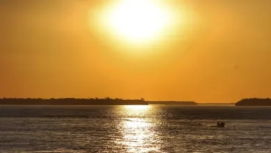 El Niño pode causar mais de 26 mil mortes no Brasil, aponta estudo 2 Paisagem urbana ensolarada representando onda de calor