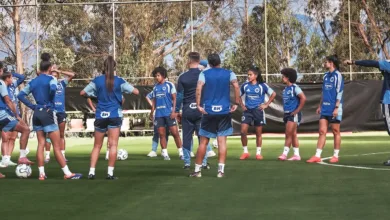 Escudo do Cruzeiro Esporte Clube