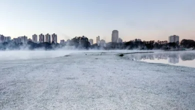 Termômetros registram frio e amanhecer gelado no estado do Paraná